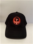 Team DragonRC Cap